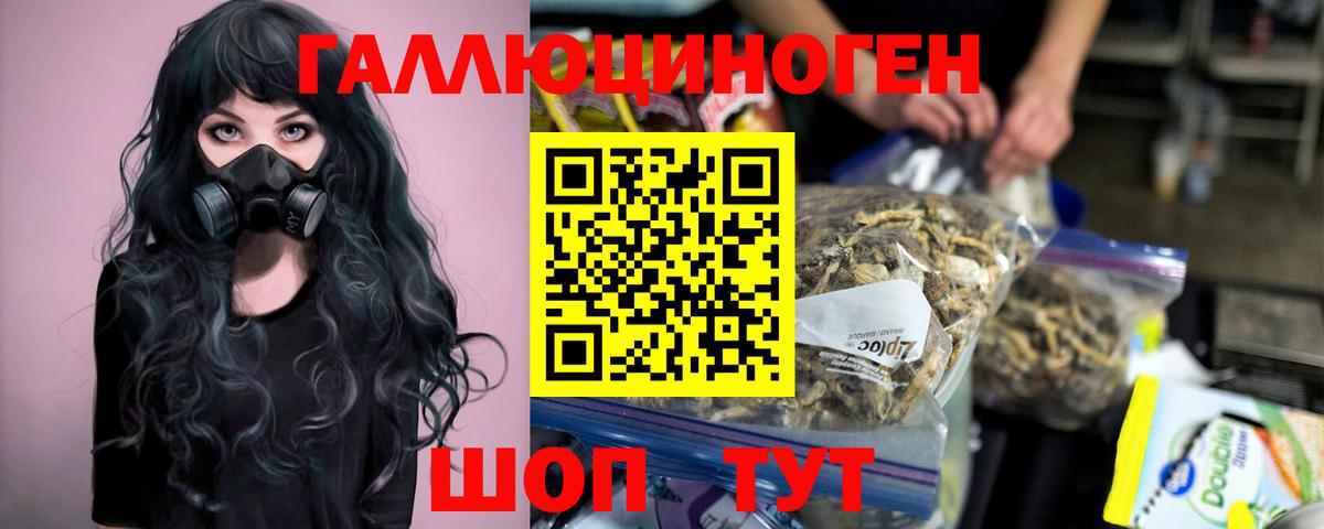 Галлюциногенные грибы Psilocybine cubensis Нижнекамск