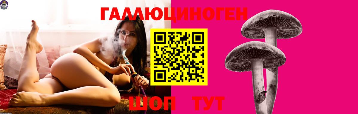 Нижнекамск  Галлюциногенные грибы GOLDEN TEACHER  Вход с VPN 